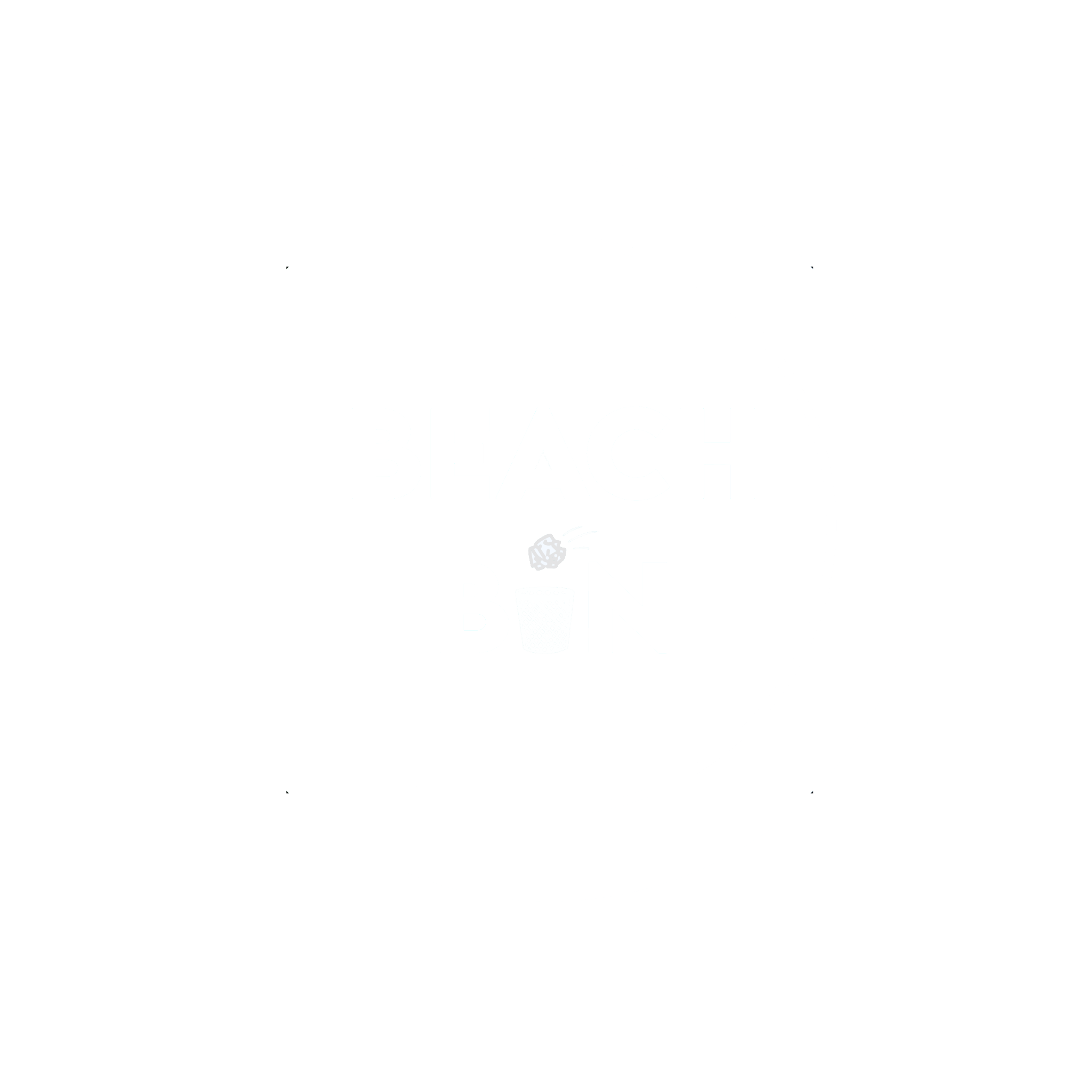 BeachBin